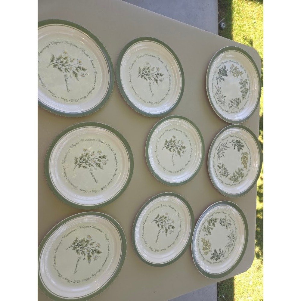 Corelle Herba Dinner & Salad Plate Set 9 Thymless Herb